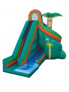tropical water slide with pool